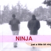 NINJA: Just A Little Bit Ninj