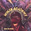 NINJA ACADEMY: Enter The Ninja