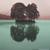 N.LANNON: Chemical Friends