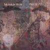NEPHILIM MUSE AND PERTIS PLUS: Origins