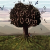 NOAH WOODS: Noah Woods