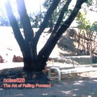 noise626 : The Art of Falling Forward