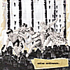 Various Artists: Noise Ordinance