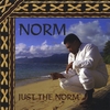 NORM: Just The Norm