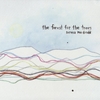NORMA MACDONALD: the forest for the trees