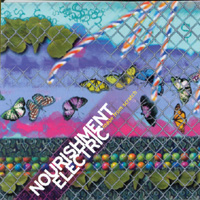 Nourishment Electric : Made from scratch