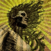 NOVA : Nepenthe