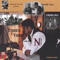 N-Side,the blessed one : Three Voices from the N-side