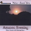 NATURE SOUND SERIES: Amazon Evening (With relaxing music)
