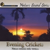 NATURE SOUND SERIES: Evening Crickets (Nature Sounds Only version)
