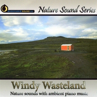 Nature Sound Series : Windy Wasteland: Nature Sounds With Ambient Piano Music