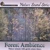 NATURE SOUND SERIES: Forest Ambience (with relaxing music)