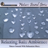 NATURE SOUND SERIES: Relaxing Rain Ambience (With relaxing music)