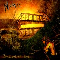 Numic : Recrudescent Feed