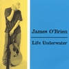 JAMES O'BRIEN: Life Underwater