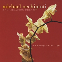 Michael Occhipinti : Chasing After Light