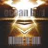 OCEAN BED: Nothing Is Real