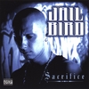 JAILBIRD= BETTER THAN EMINEM, PAUL WALL, BUBBA SPARXXX !: SACRIFICE- LP