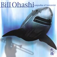 Ampullae of Lorenzini by Bill Ohashi