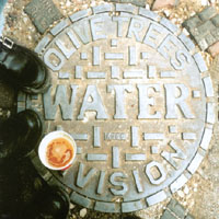 Olive Trees : Water Vision