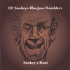 OL' SNAKEY'S BLUEJASS RAMBLERS: Snakey's Rant