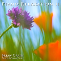 ONE HOUR MUSIC: Piano Relaxation Music: Volume 2