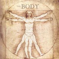 OneManBand : The Body