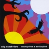 ONLY MAKEBELIEVE: Message From A Mockingbird