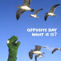 Opposite Day : What is is?
