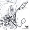OPSVIK & JENNINGS: Floyel Files