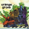 Orange Grove: Fingerprint
