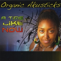 Organic Akusticks : A Time Like Now
