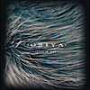 Oriya: Light to Dark