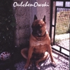 OULCHENOWSKI: OulchenOwski