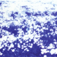 OVUM : microcosmos