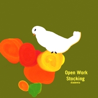 Open Work Stocking : Diademia