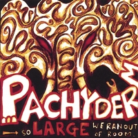VARIOUS ARTISTS: Pachyderm: So Large We Ran Out of Room...