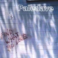 Paledave : Find What You Love
