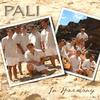 PALI: In Harmony