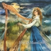 PAMELA BRUNER: Mist & Moonlight