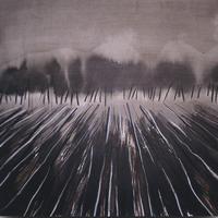 Daniel Panasenko / Mark Wyman : Daniel Panasenko / Mark Wyman