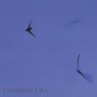 Pan Electric : Conscious Pilot