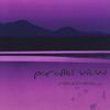 PARALLEL VIEW: Rocktronica