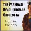 PARKDALE REVOLUTIONARY ORCHESTRA: Truth in the Dark