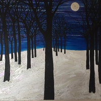 Jennifer Parsignault : From The Dark - The Acoustic Songs