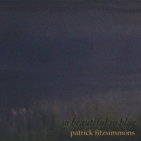 Patrick Fitzsimmons : So Beautiful So Blue