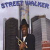 PATRICK MICHAEL: Street Walker