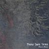PATRIC STEEL: These Dark Skies