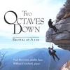 PAUL BRESCIANI: Two Octaves Down