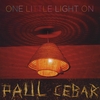 Paul Cebar: One Little Light On